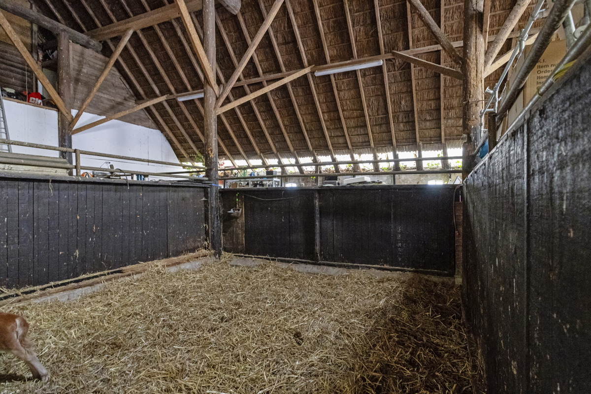 Te koop: Foto Woonhuis aan de Peizerweg 230 in Groningen