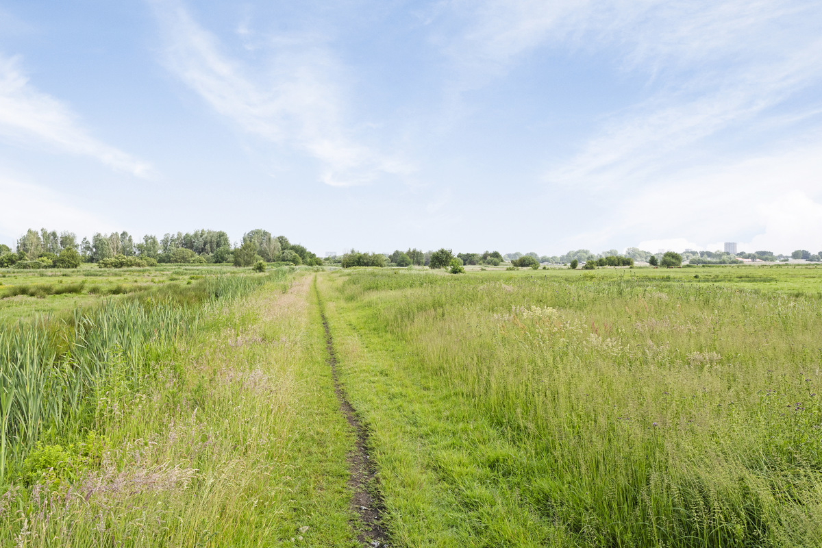 Te koop: Foto Woonhuis aan de Peizerweg 230 in Groningen