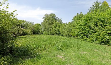 Te koop: Foto Bouwgrond aan de West ong in Buitenpost