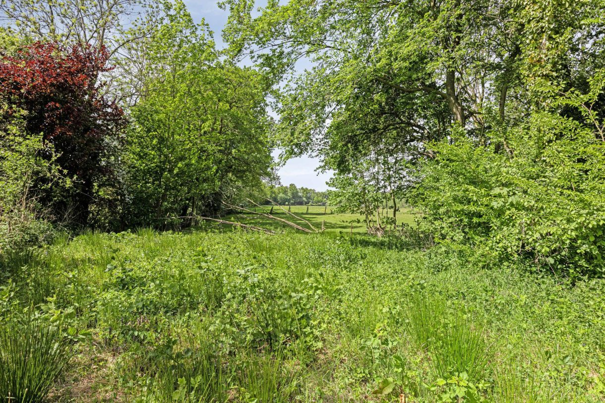 Te koop: Foto Bouwgrond aan de West ong in Buitenpost