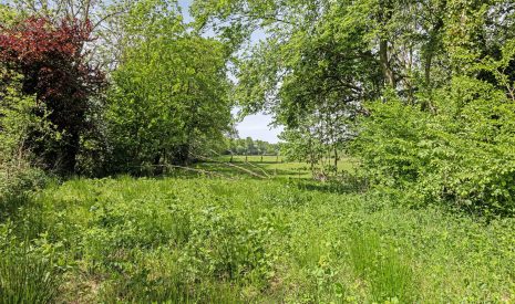 Te koop: Foto Bouwgrond aan de West ong in Buitenpost