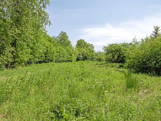 Hoofdfoto van Buitenpost West ong