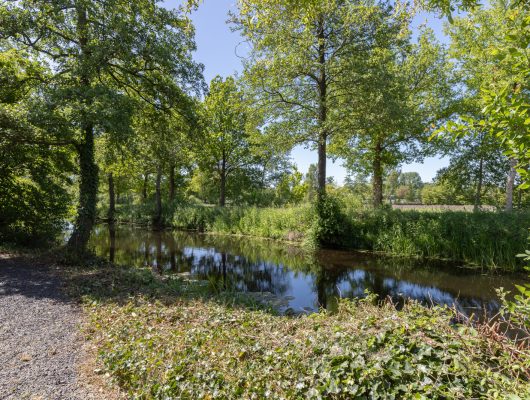 Hoofdfoto van Tolbert Klink 18