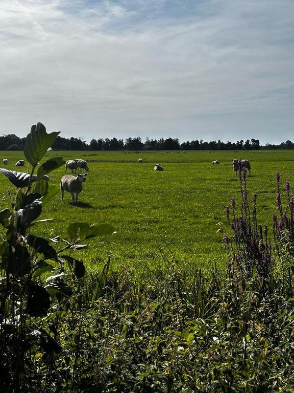 Te koop: Foto Bouwgrond aan de Mensumaweg ong in Tolbert