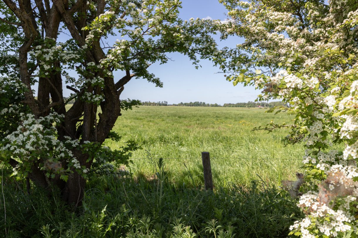 Te koop: Foto Bouwgrond aan de Mensumaweg ong in Tolbert