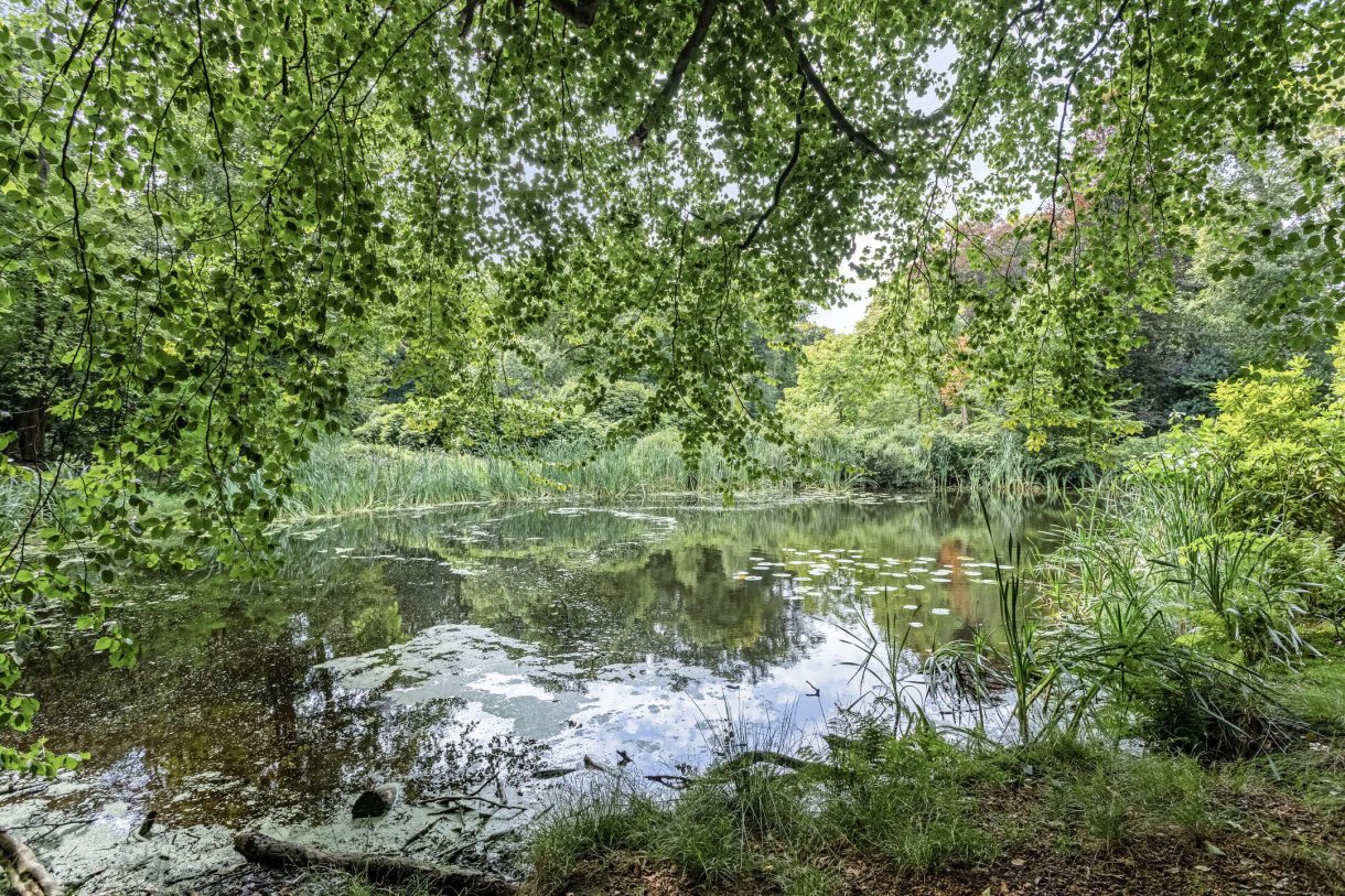 Te koop: Foto Woonhuis aan de W. van Graftweg 23 in Paterswolde