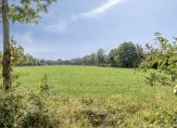 koop  Leutingewolde  de Ring 31 – Foto 4
