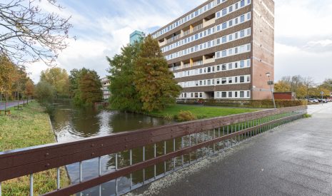 Hoofdfoto van Groningen Sloep 155